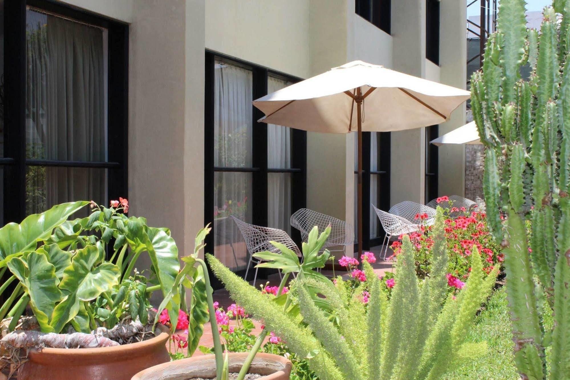 Holiday Suites Такна Екстериор снимка